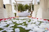 Boda Ibicenca en Bodegas Rhey